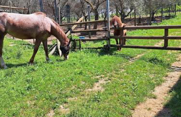 AGRITURISMO Casa Riz - Foto 49