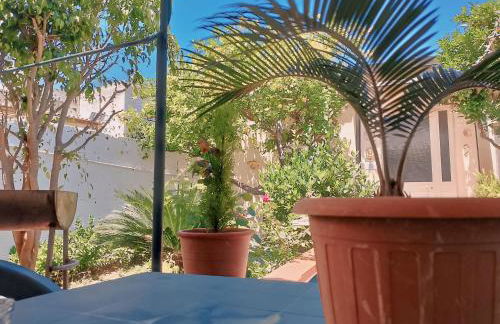 Nel giardino di Nunziatina - Photo 72