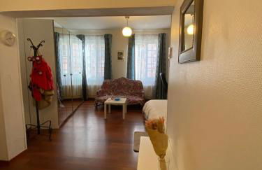 Studio miroir-arrivée autonome-animal ok - Photo 19