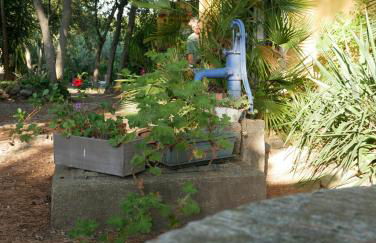 Gites de la Massane - Foto 8