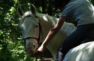 Agriturismo Buonasera - Foto 89