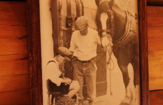 B&B Le Corone - Chalet nel Bosco - Photo 26