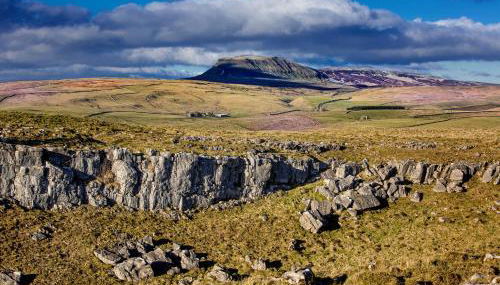 The Stables - Photo 3