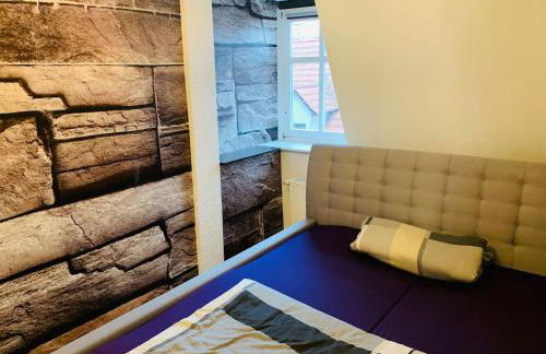 Lausitzer Seenland - Foto 16