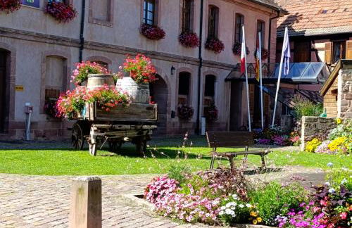 Le Nid Douillet de Bergheim - Foto 11