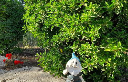 Villa Hakuna Matata - Foto 31