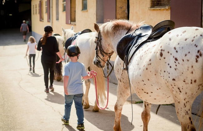 Nengshof - Haus Wildrose - Photo 34
