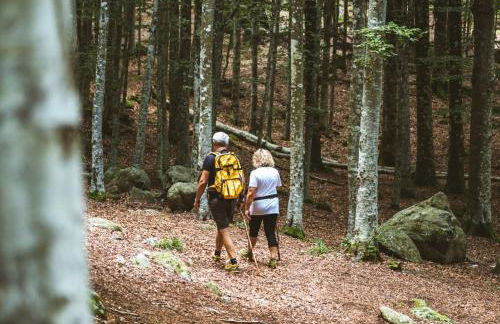 38-Volpini House In Amiata - Val d'Orcia, Saturnia, Feste&Sagre - Foto 74