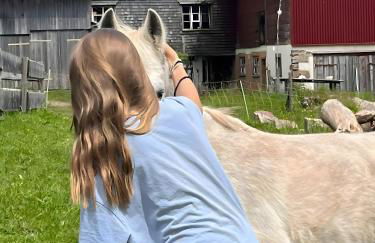 Das Falken Nest - Foto 22