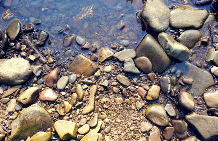 Gut Kallerbend - Foto 64