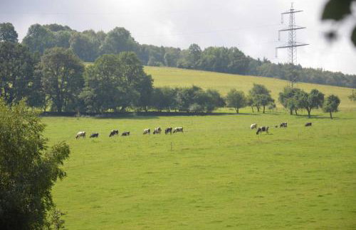 Ferienwohnungen Hof Heiderich - Foto 13