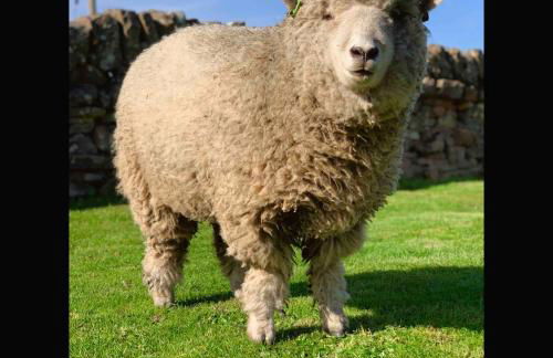 Lovely Semi-rural Caravan & Hot Tub - Sleeps Fam 6 - Photo 57