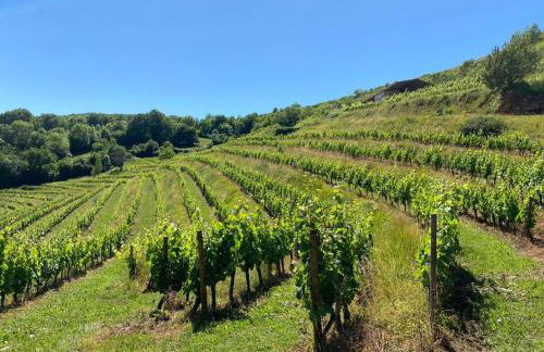 Le gîte des Aubèles - Photo 22