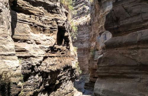 Garden & Sea - Foto 50