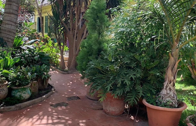 Studio in Tropical Garden - Photo 14