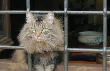 casa marconi - Foto 46