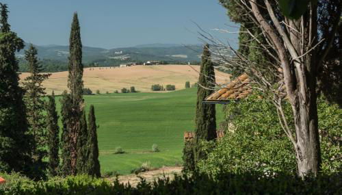 Agriturismo Tenuta Di Mensanello - Foto 3, Garden, Garden view