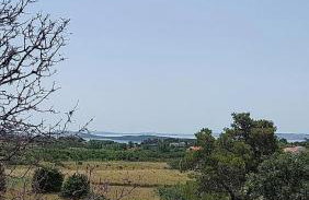 Apartmani Katarina - Foto 28