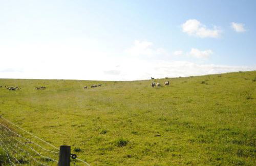 Annemaries Nordseehaus - Foto 52