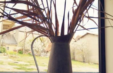 Gite Clémarie Maison de caractère sur le Larzac - Photo 23