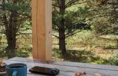 Zielony domek nad Marychą w Budwieć - Foto 32