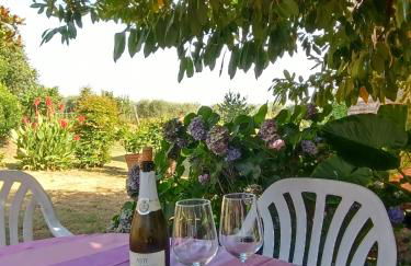 Corte Bicchio 11 ospiti - Foto 36