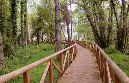 Charming house in Albuerne with fenced garden - Foto 21