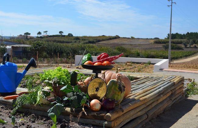 Entre Vinhas & Mar - Foto 51