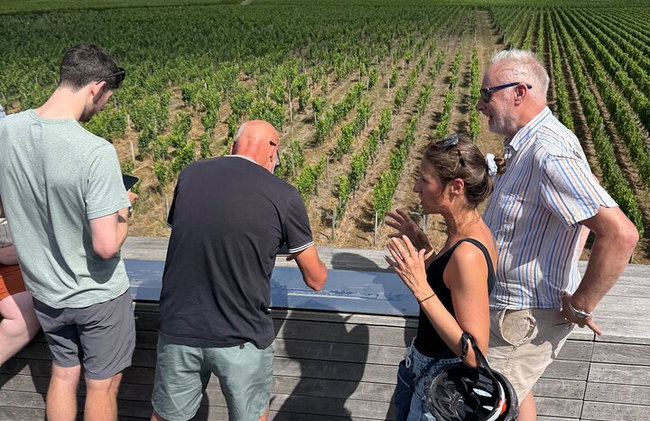 "Explora Saint-Émilion en bicicletas eléctricas: Grupo pequeño, excursión de medio día" - Foto 29