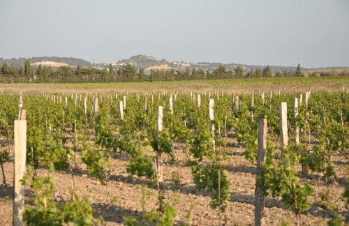 Les Fenals - Foto 16