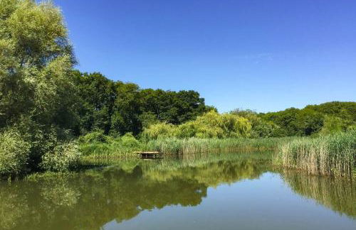 Seymour House - Photo 23