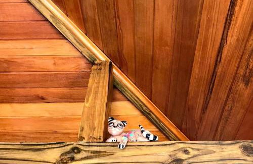 São Francisco do Sul, SC, Praia do Forte. - Foto 16