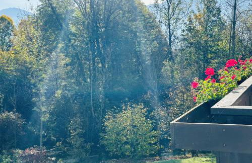 Ferienwohnungen Bachblick - Foto 11