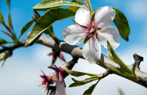 Tasteful Caminha Villa 4 Bedrooms Villa Laginhas Modern Furnishings - Foto 16