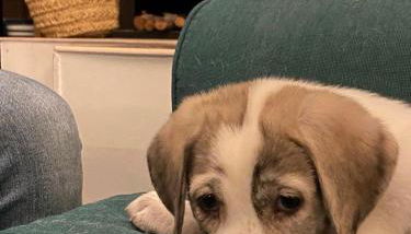 Casa Rural Teja Vieja - Foto 4