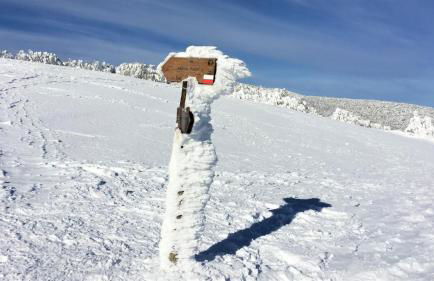 Casa fiordaliso - Foto 43