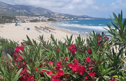 Ferienwohnung mit Privat-Pool - Foto 67