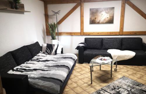 Idealer Startpunkt für Ausflüge und Wanderungen, 70qm, Stufenloser Zugang, Parkplatz an der Wohnung - Foto 2