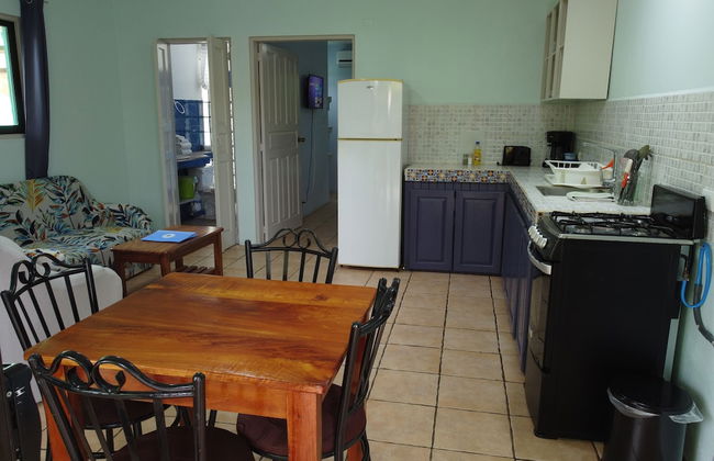 Bohemian Monkey - Foto 13