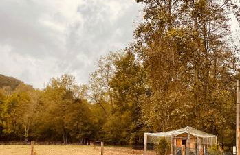 Can Torrotes - Foto 58