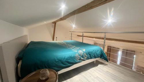 Studio Mezzanine cozy proche gare et canal du midi - Foto 5