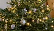 Gite Les Eglantines - Photo 3