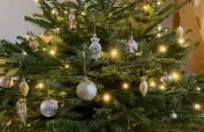 Gite Les Eglantines - Foto 3