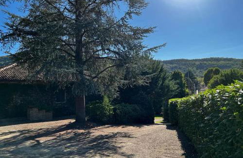 Beautiful stone house with garden - Villa il Poggio - Foto 23