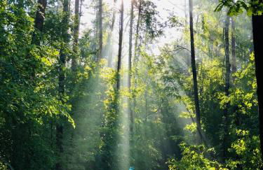 CASA LOFT & LaMansarda - Foto 24