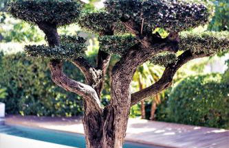 House Avenue - Foto 15