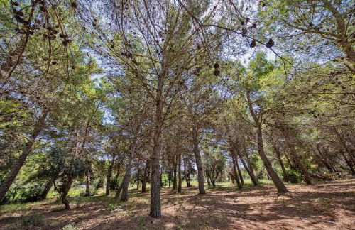 Torre Casciani - Foto 80