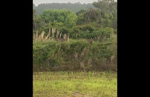 Plan Beach home - Foto 39