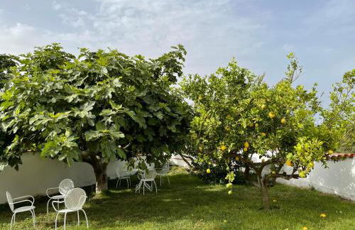 Villa Nuragica Sardegna - Foto 40