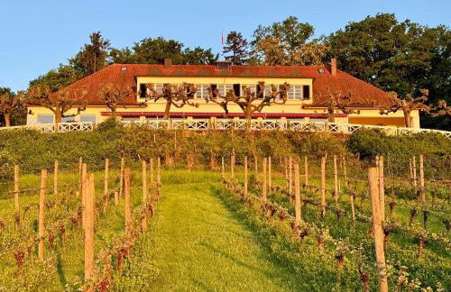 Licht+Luft, Wohnen auf Zeit - Foto 59